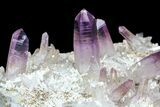 Amethyst Cluster - Las Vigas, Mexico #84397-1